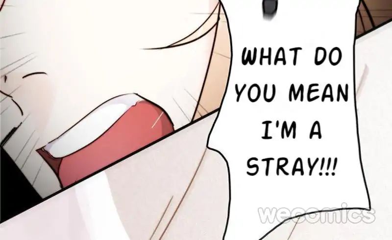 Page 49 of Chapter 11