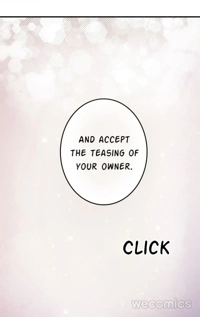 Page 62 of Chapter 13