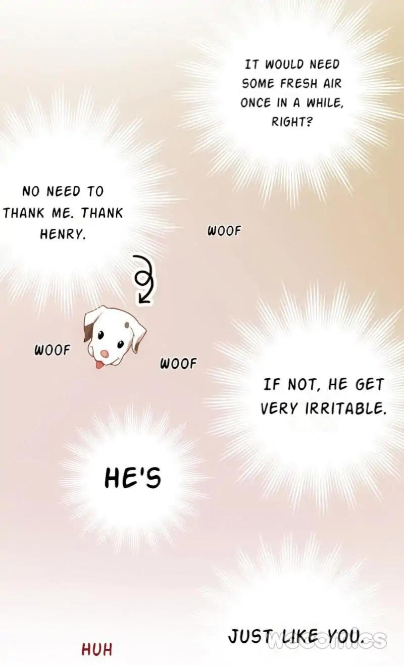 Page 13 of Chapter 14