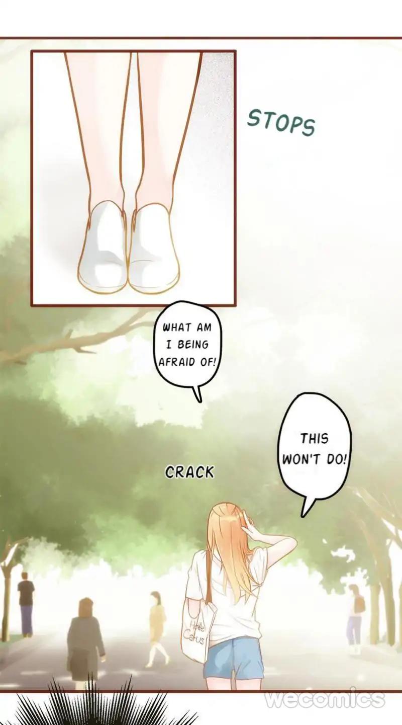 Page 5 of Chapter 17