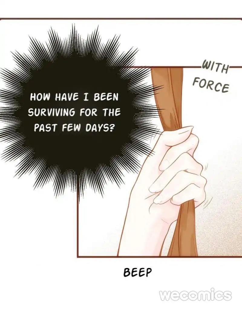 Page 7 of Chapter 17
