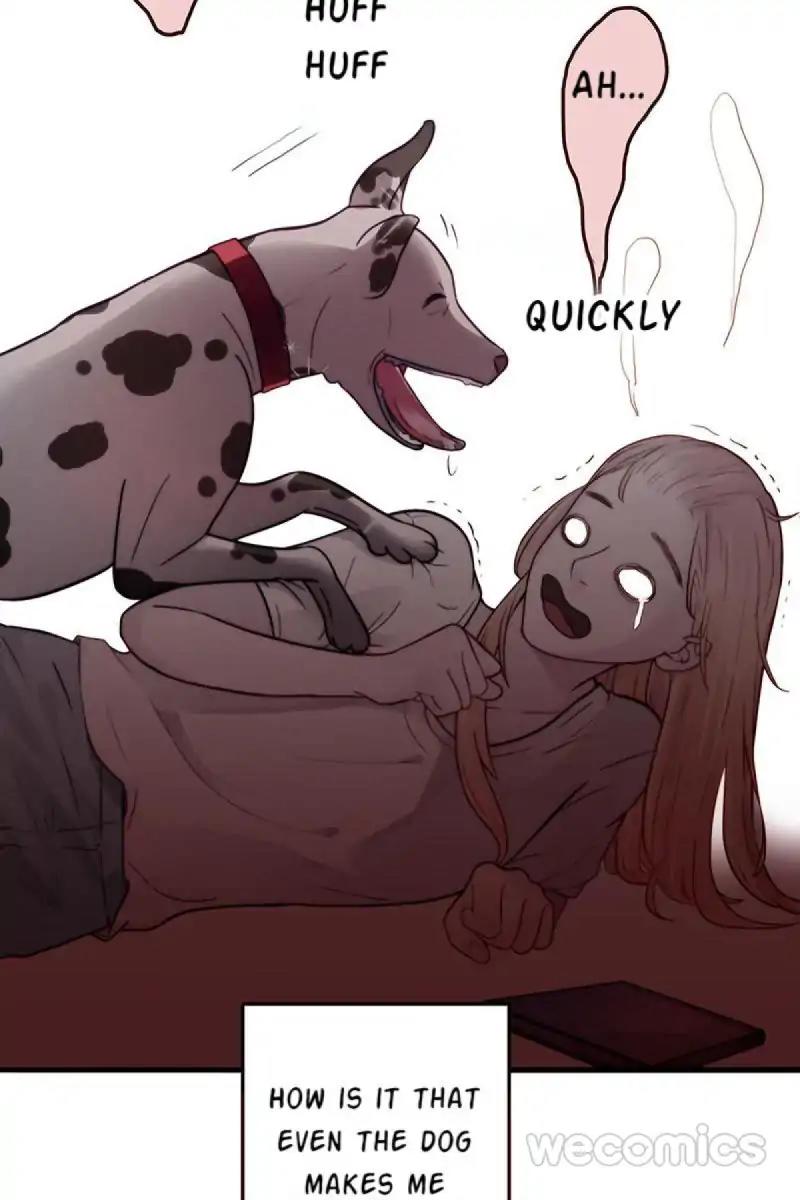 Page 74 of Chapter 17