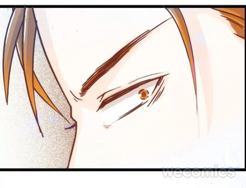 Page 117 of Chapter 19
