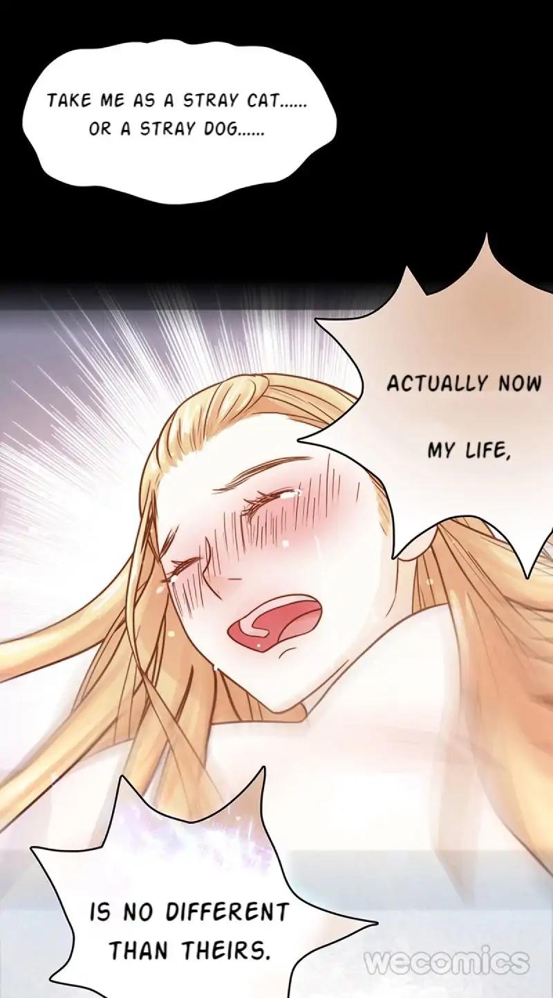 Page 63 of Chapter 20