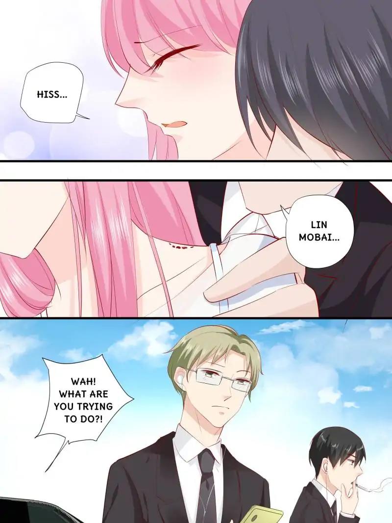 Page 13 of Chapter 219