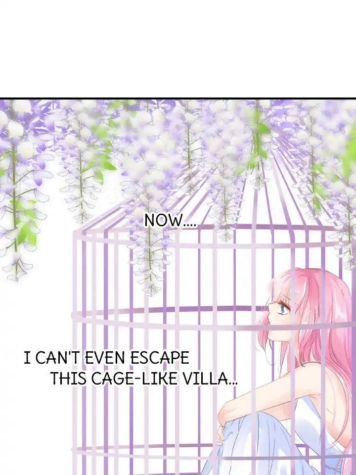 Page 11 of Chapter 29