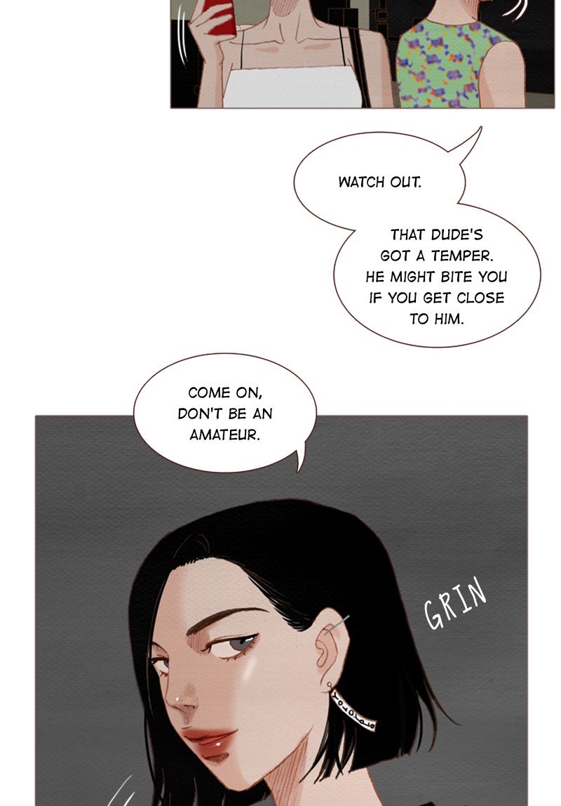 Page 51 of Chapter 109