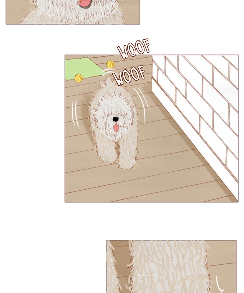 Page 55 of Chapter 96