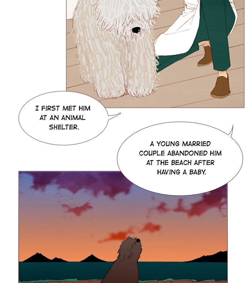 Page 63 of Chapter 96