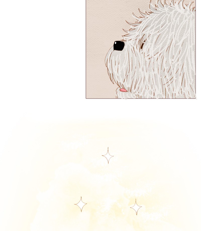 Page 68 of Chapter 96