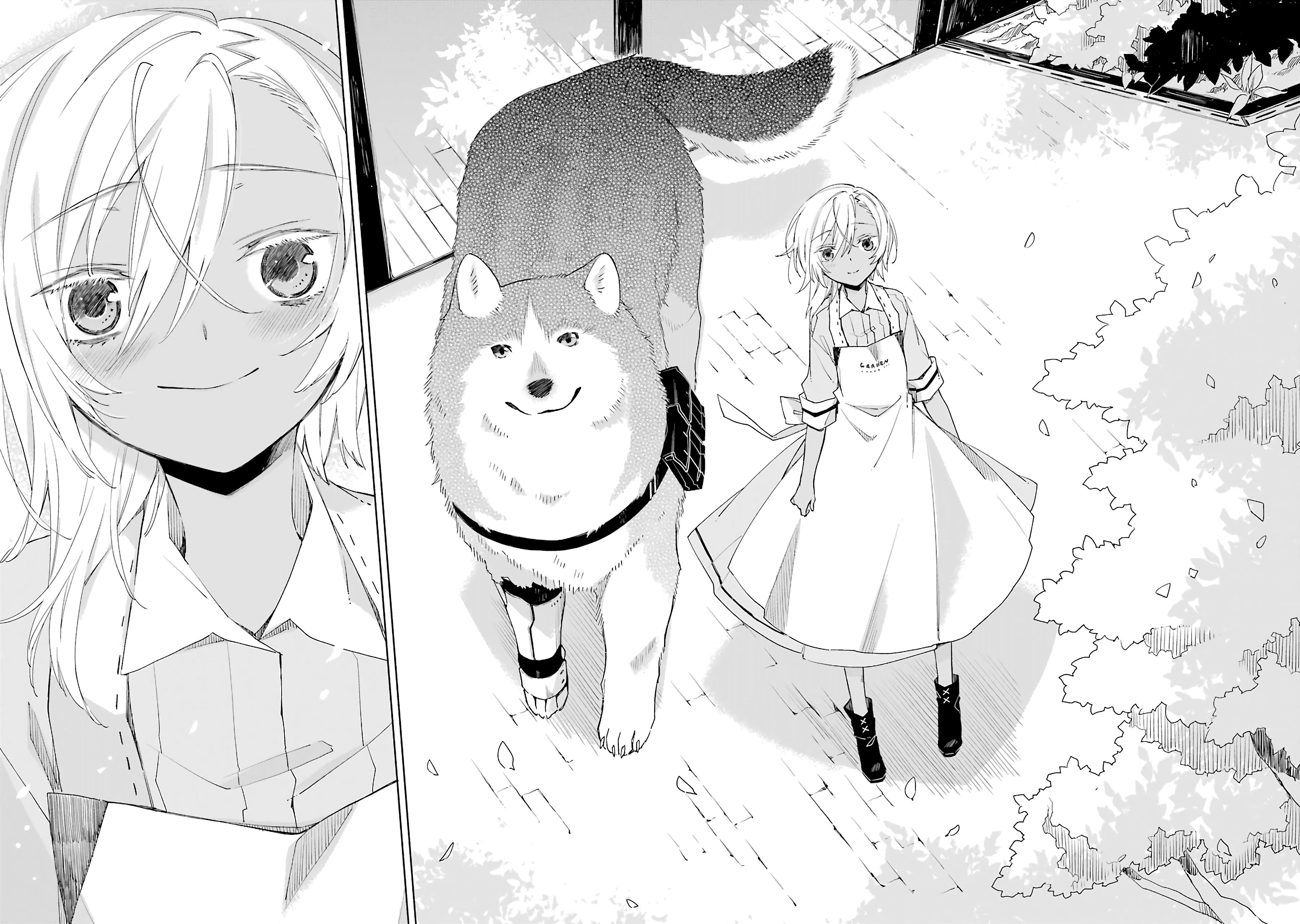 Page 20 of Chapter 17