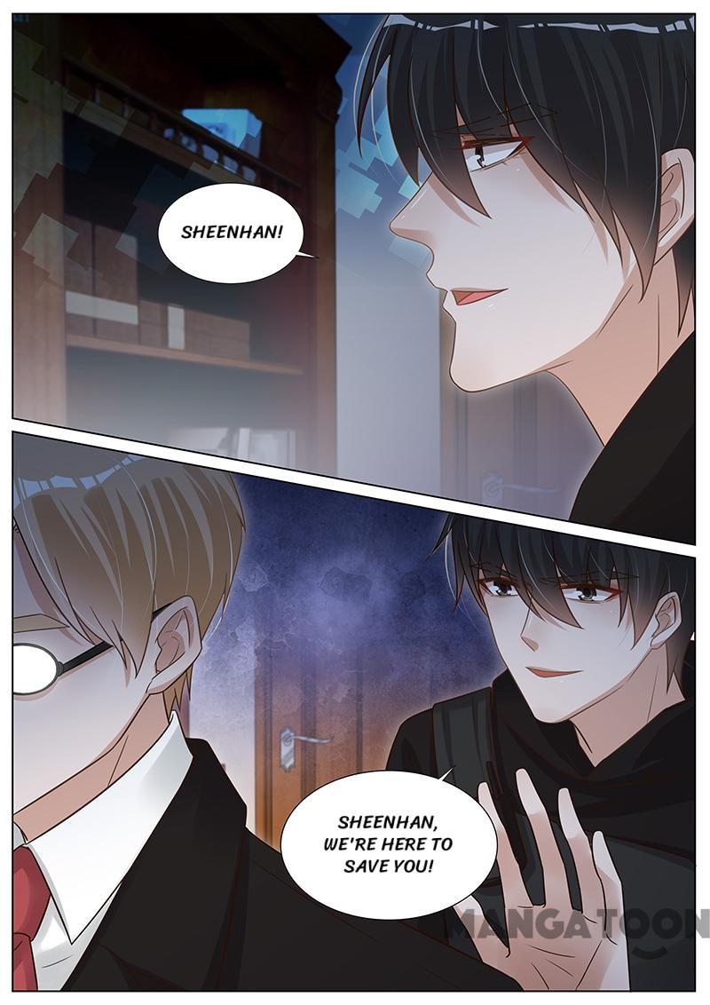 Page 6 of Chapter 274