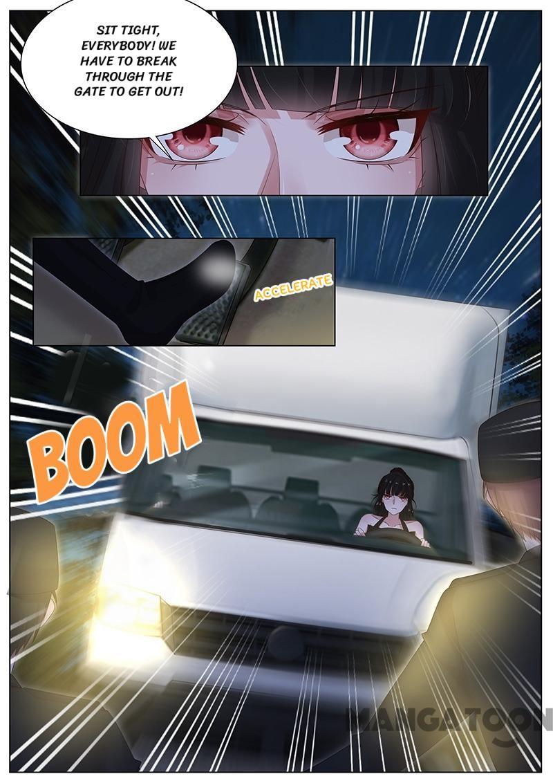 Page 8 of Chapter 296