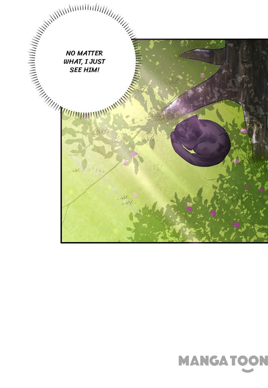 Page 11 of Chapter 15