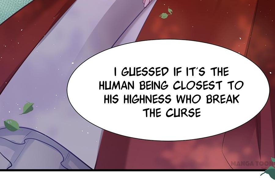 Page 7 of Chapter 14