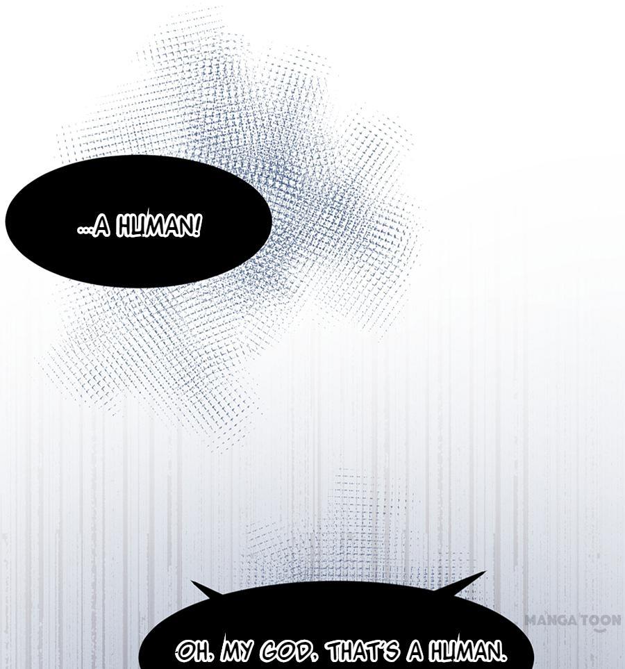 Page 19 of Chapter 36