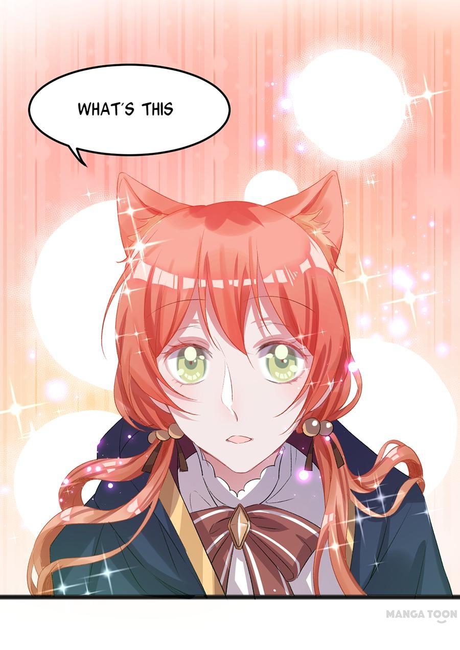 Page 31 of Chapter 36