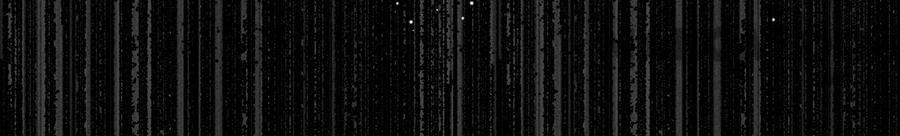 Page 33 of Chapter 96