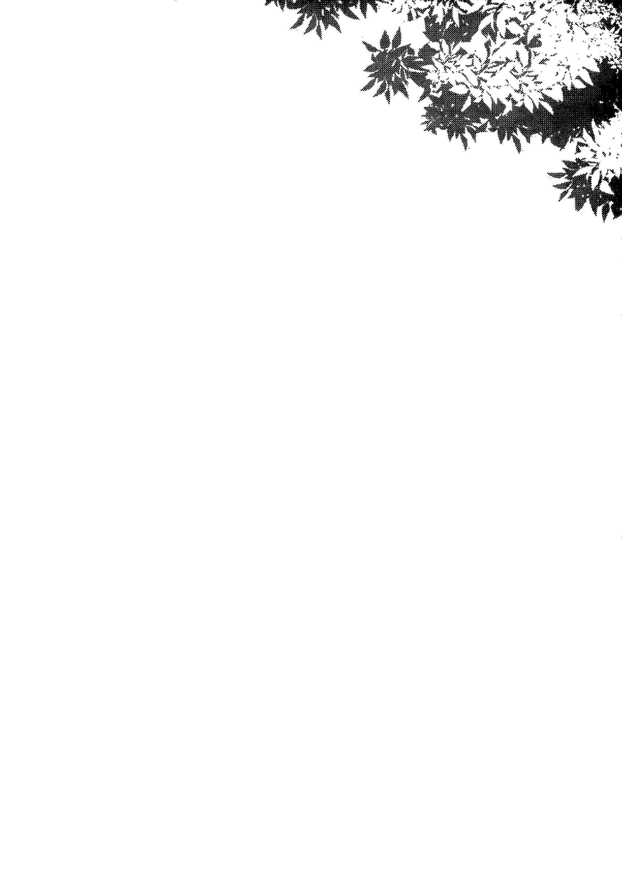 Page 23 of Chapter 2