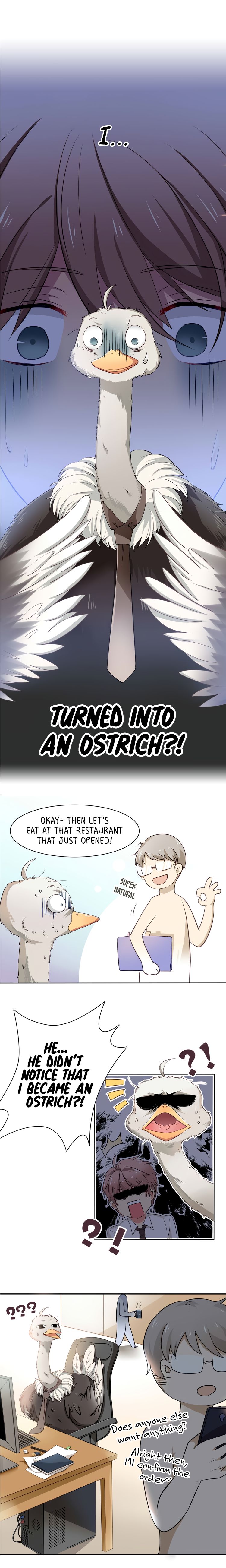 Page 5 of Chapter 1