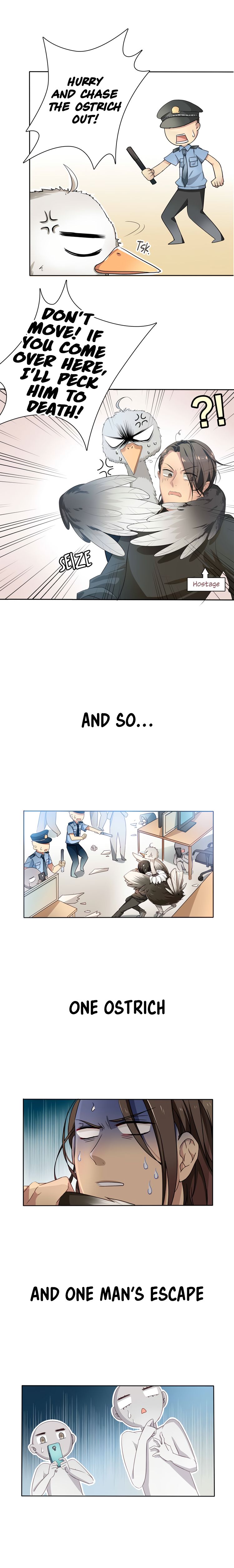 Page 11 of Chapter 1
