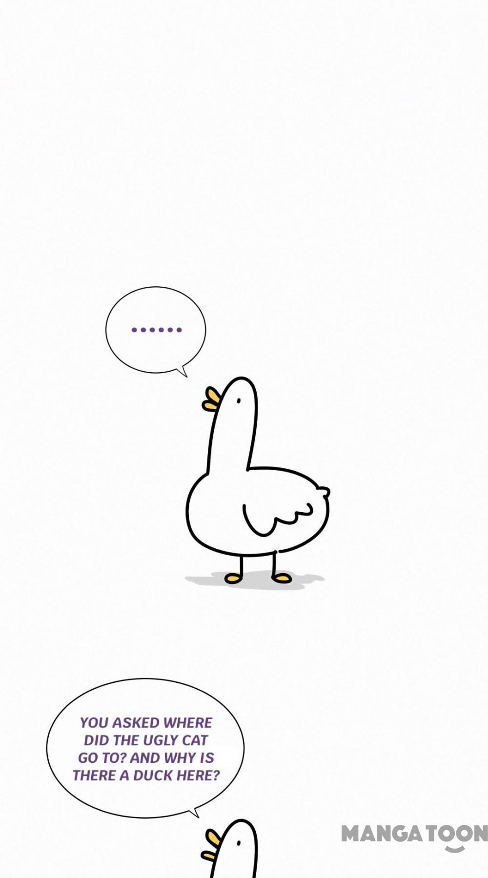 Page 41 of Chapter 7