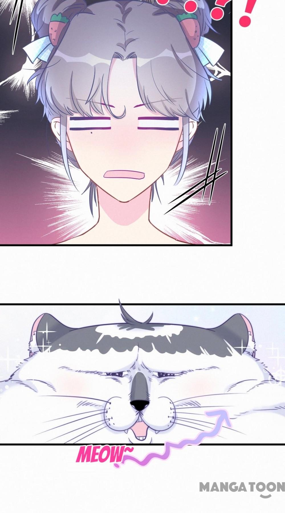 Page 11 of Chapter 8