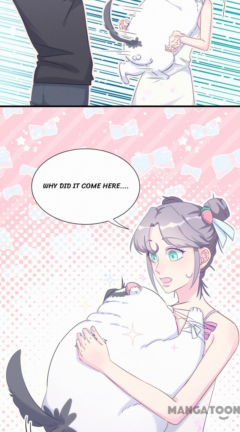 Page 17 of Chapter 8