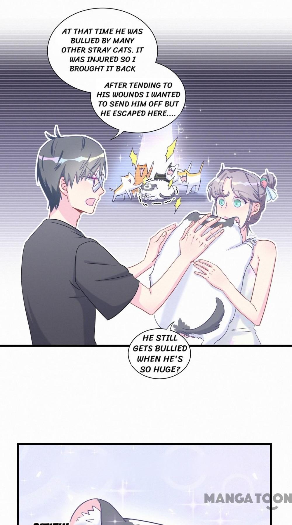 Page 19 of Chapter 8