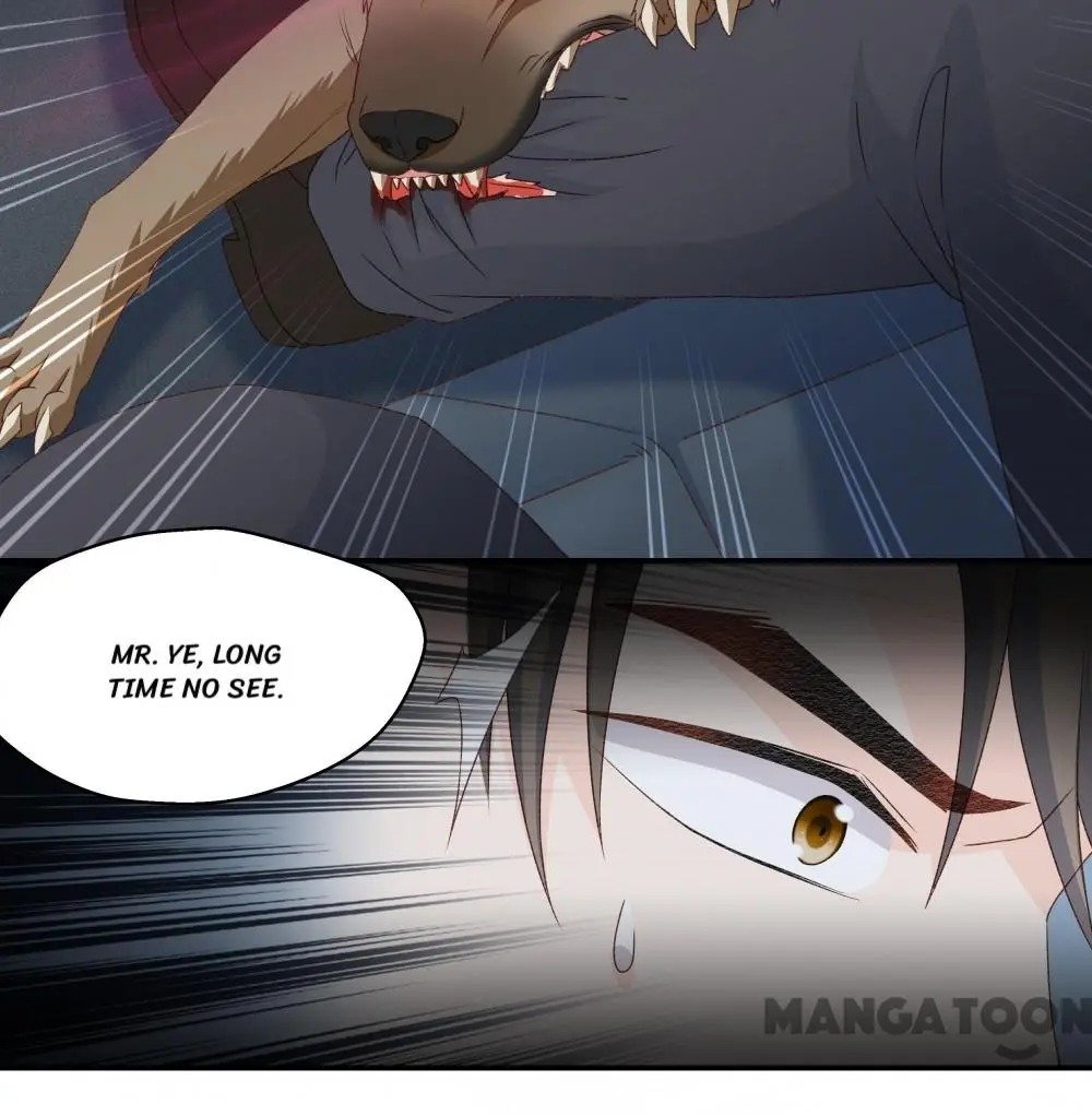 Page 12 of Chapter 119