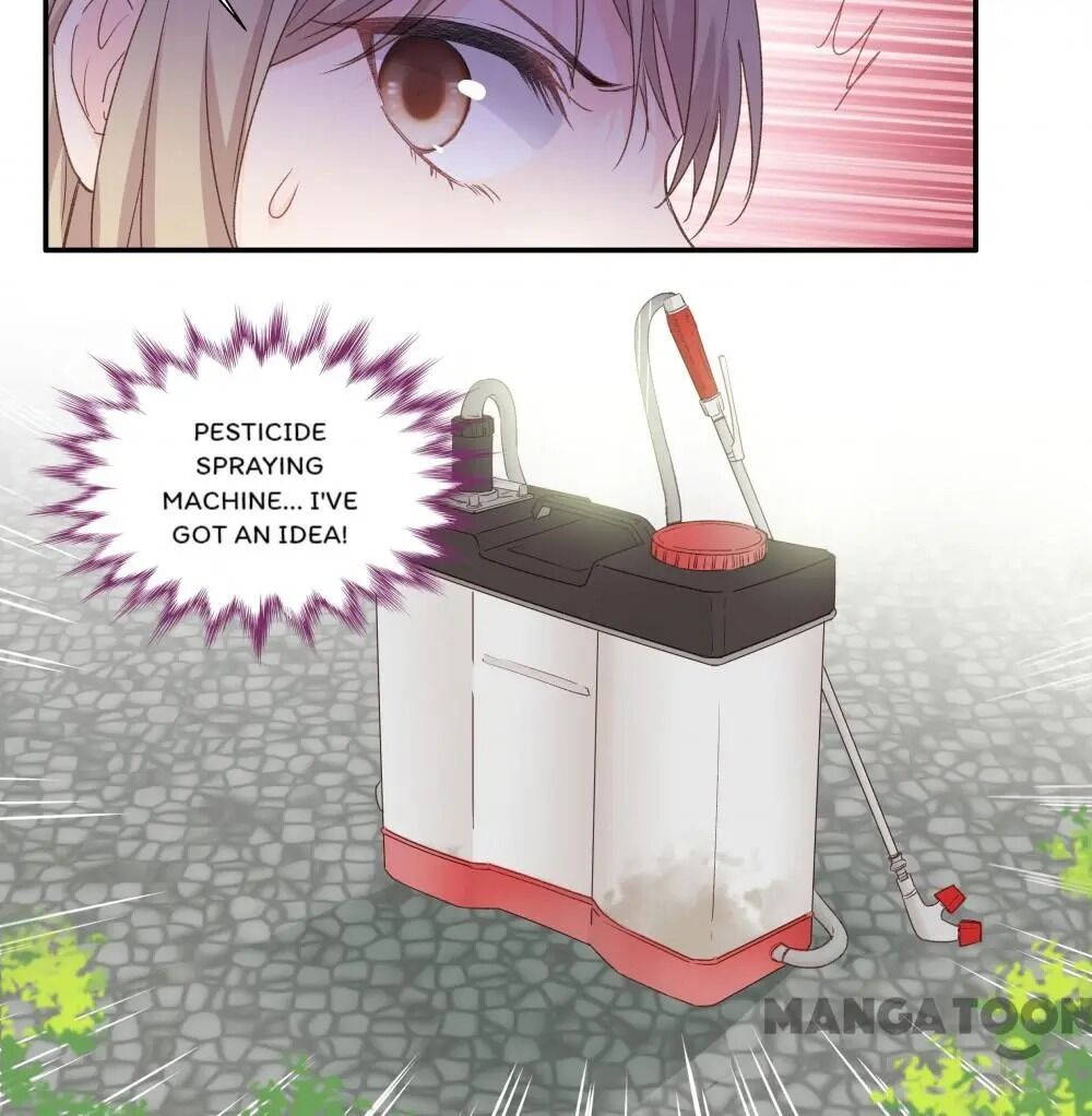 Page 12 of Chapter 14