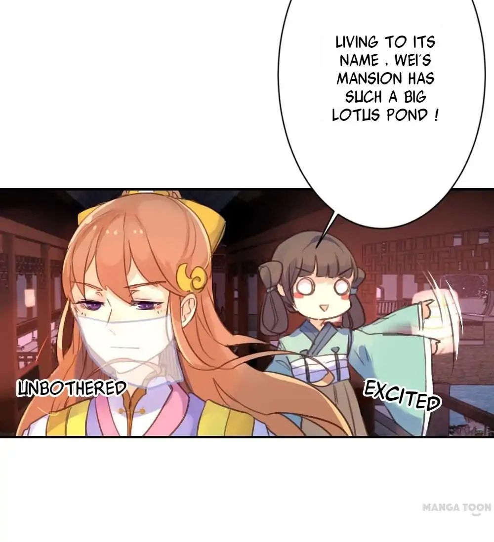 Page 19 of Chapter 11