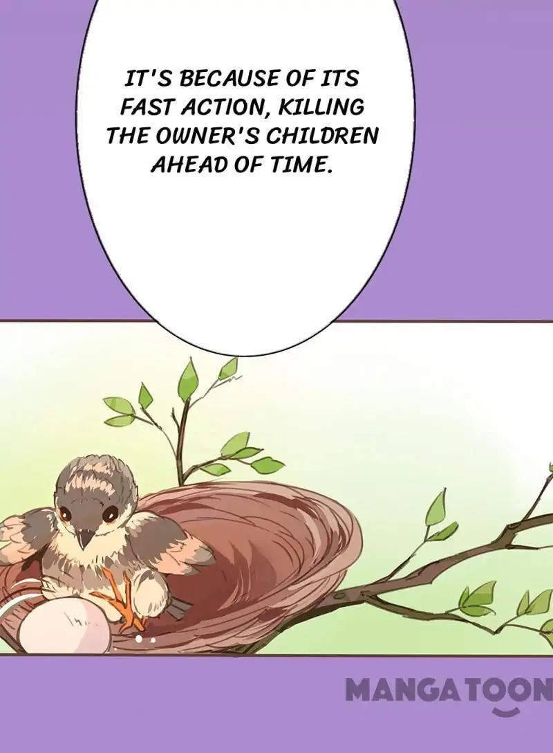 Page 48 of Chapter 36