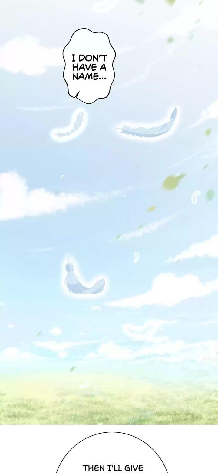 Page 16 of Chapter 49