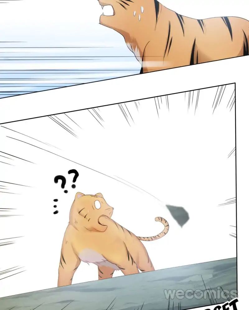 Page 43 of Chapter 17
