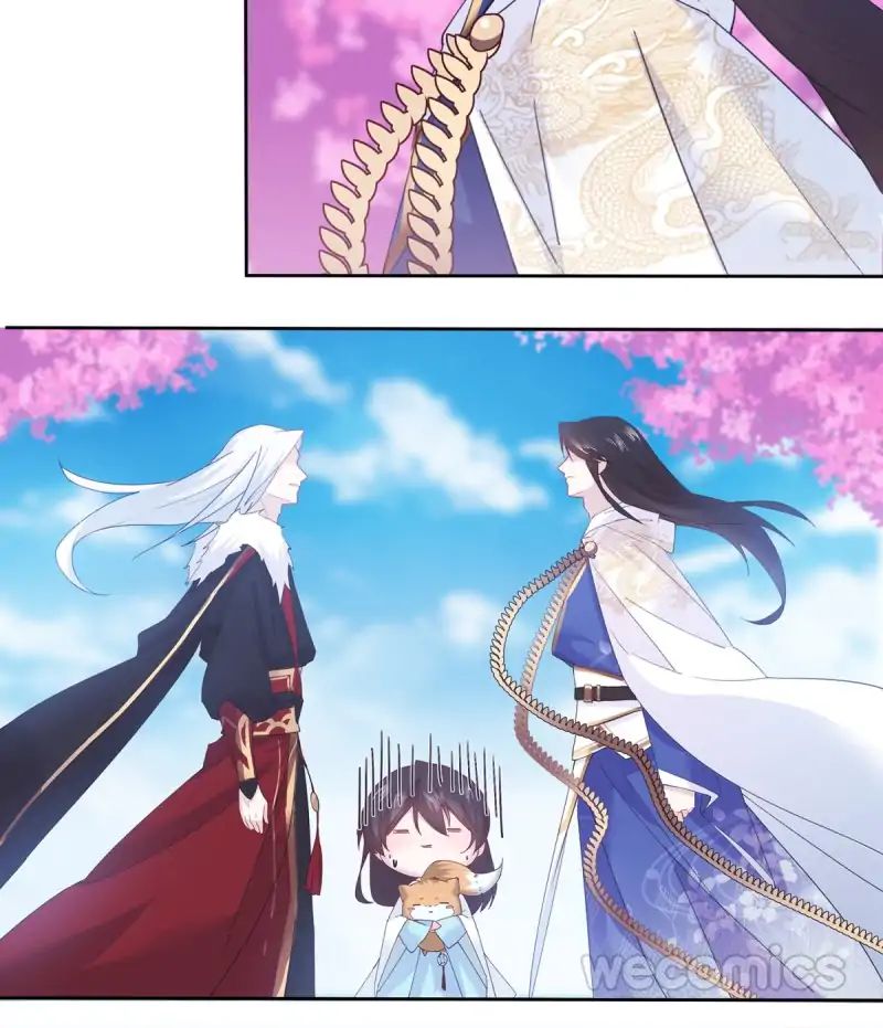 Page 25 of Chapter 22
