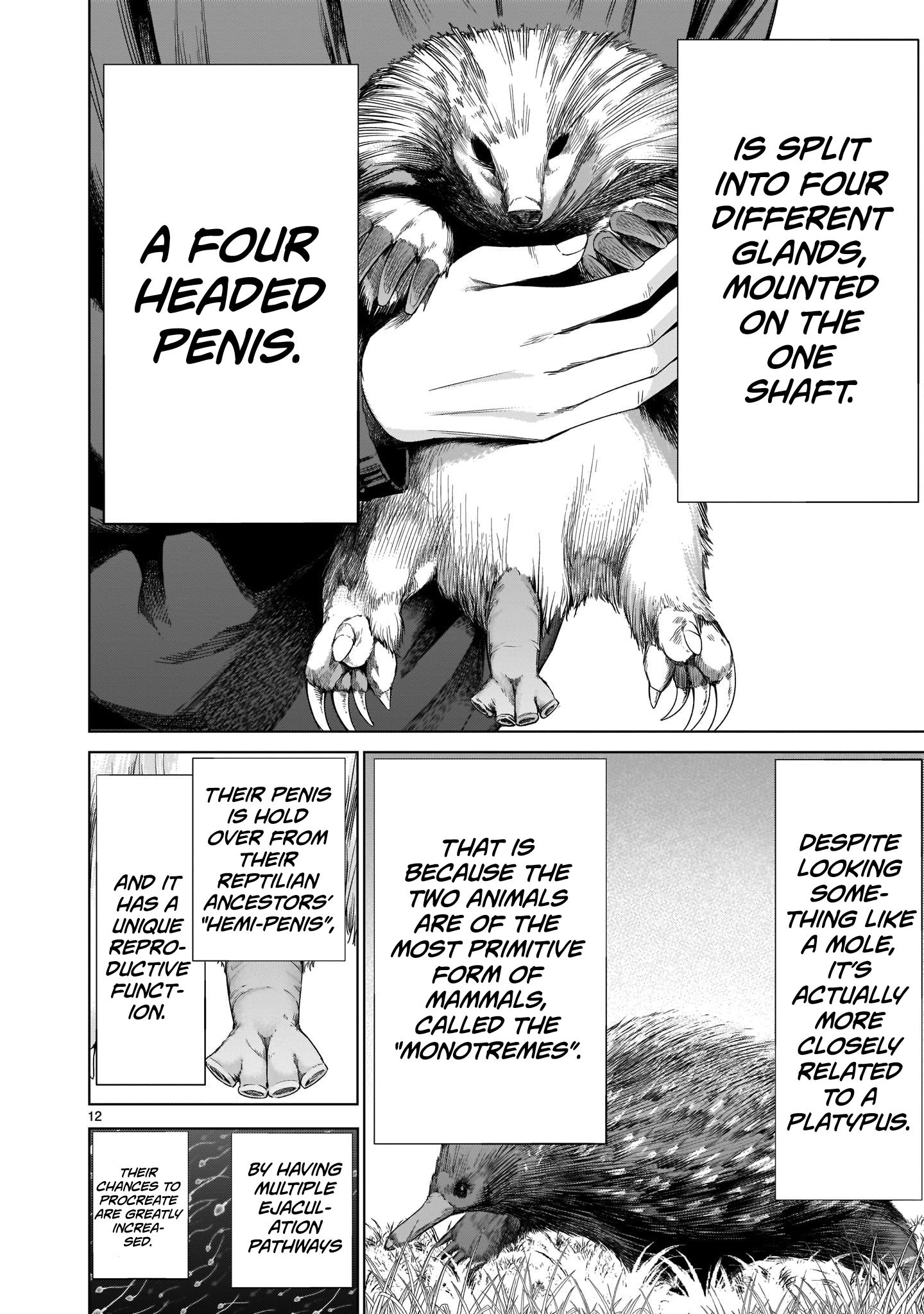 Page 11 of Chapter 2