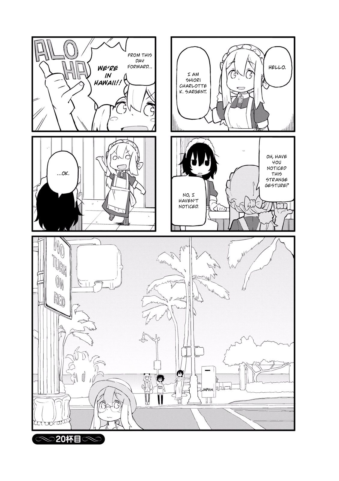 Page 1 of Chapter 20