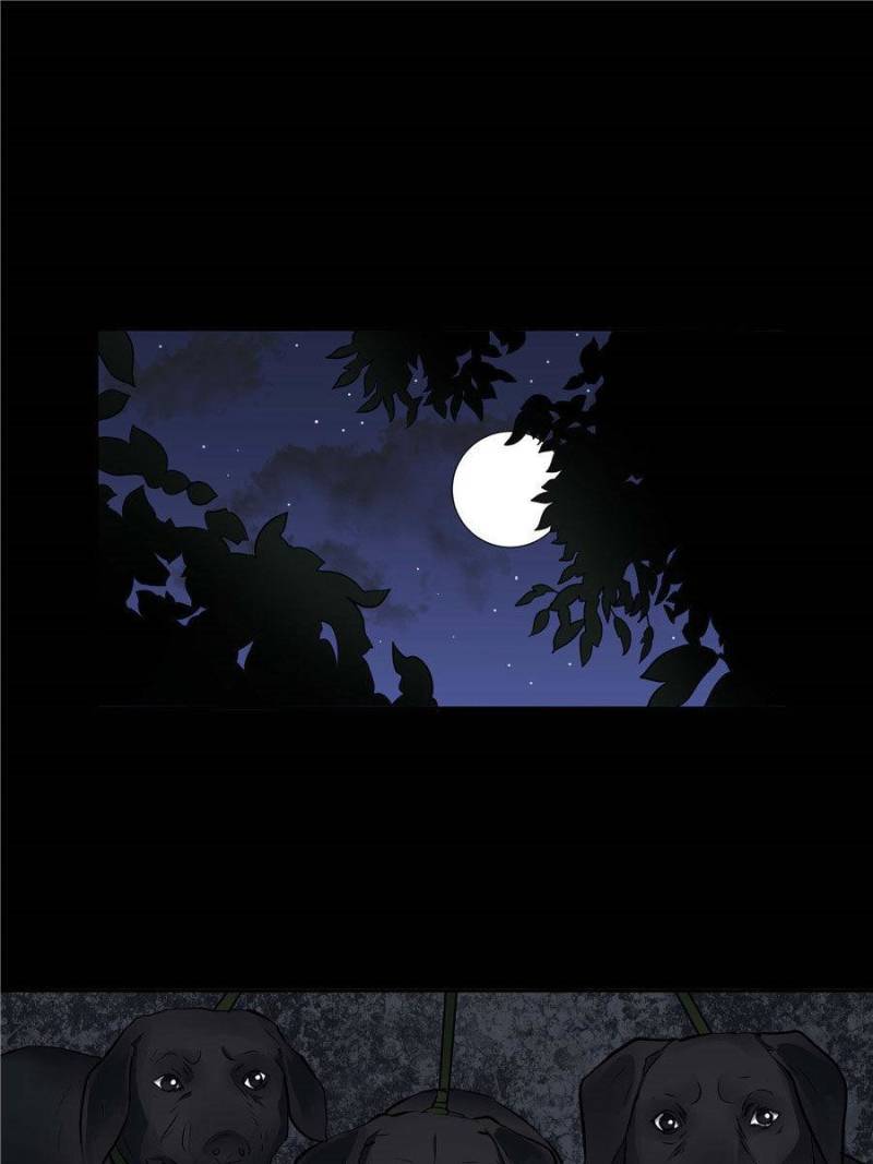 Page 49 of Chapter 23