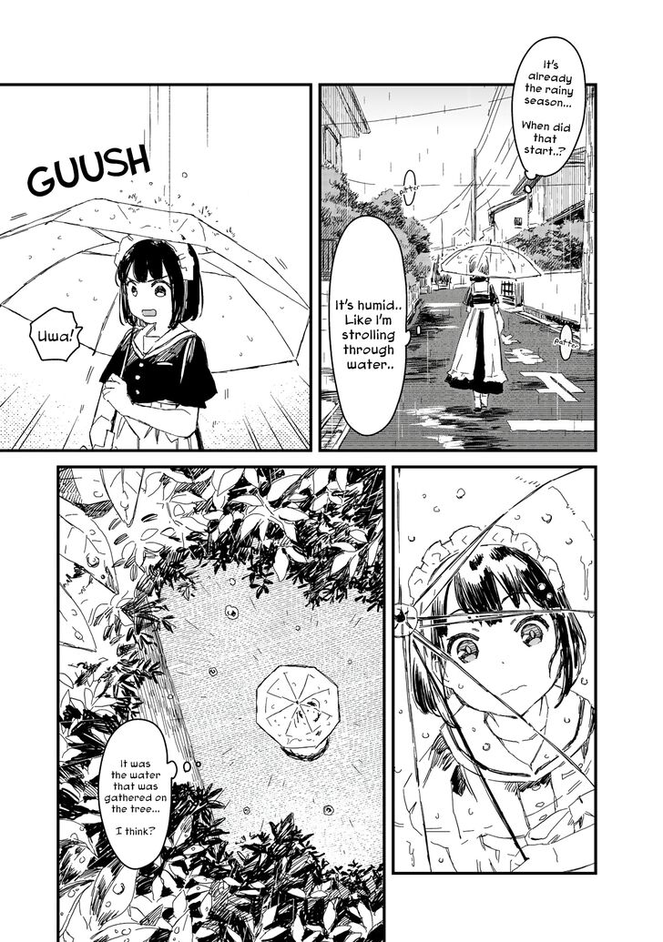 Page 5 of Chapter 19