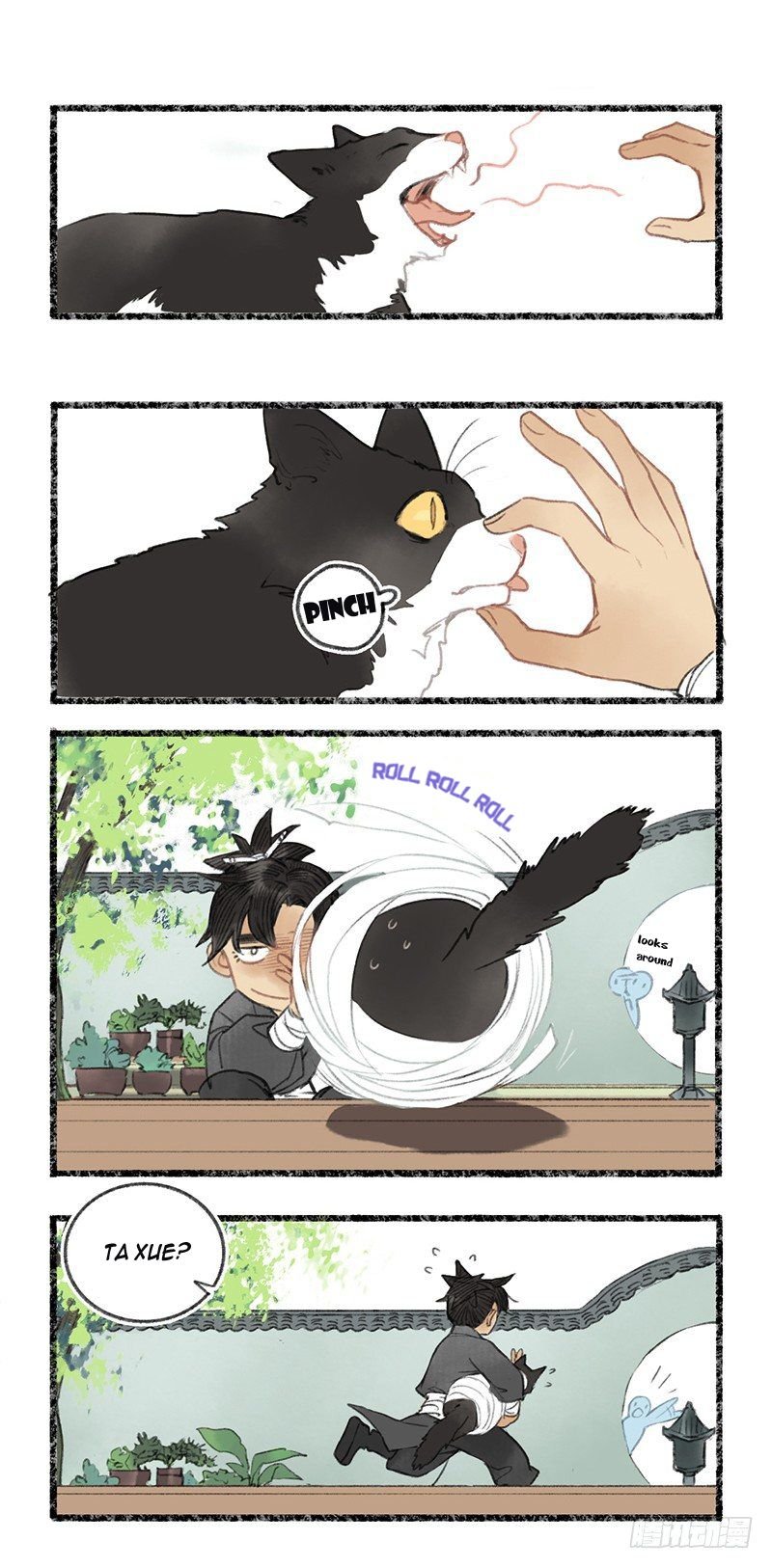 Page 2 of Chapter 4.9