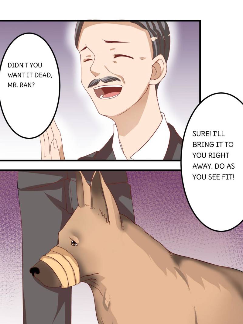 Page 1 of Chapter 17