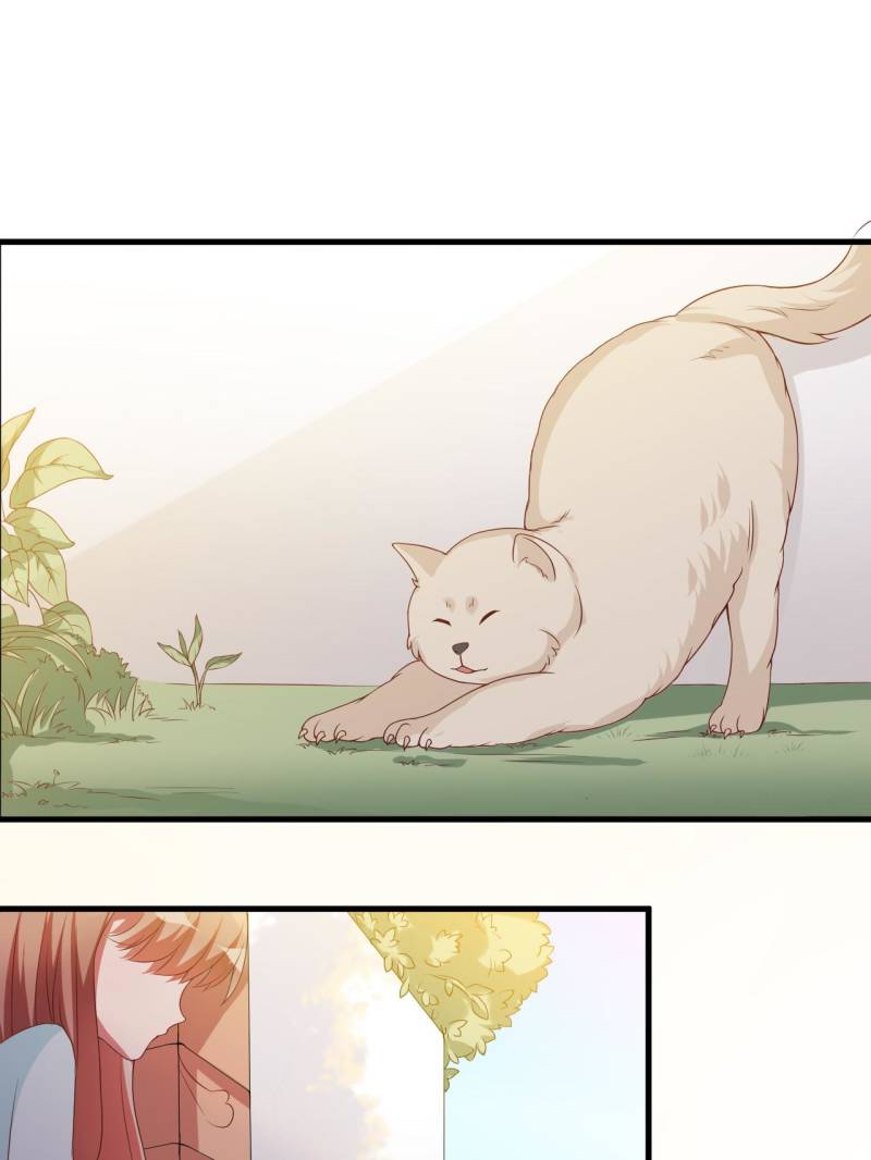 Page 7 of Chapter 20