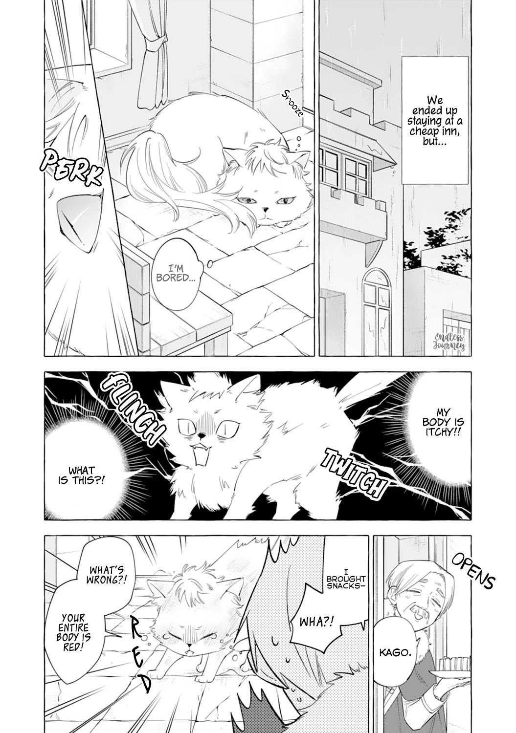 Page 17 of Chapter 2