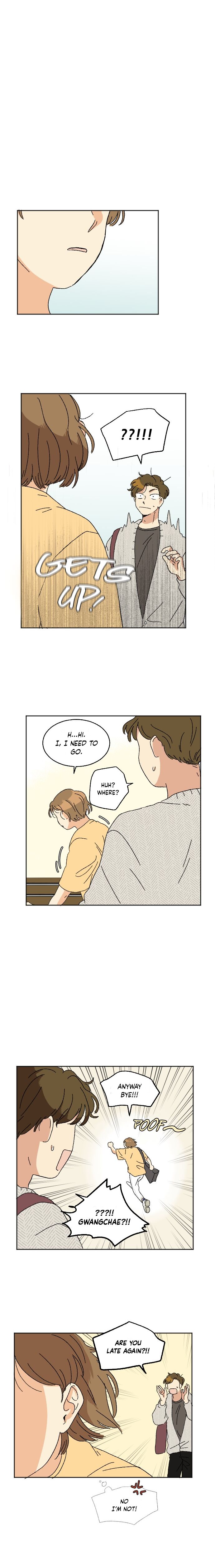 Page 20 of Chapter 15