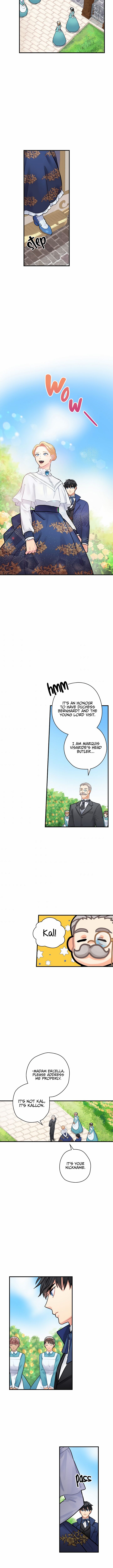 Page 6 of Chapter 11