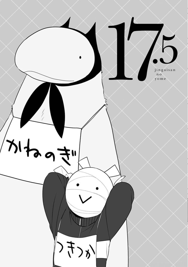 Page 1 of Chapter 17.5