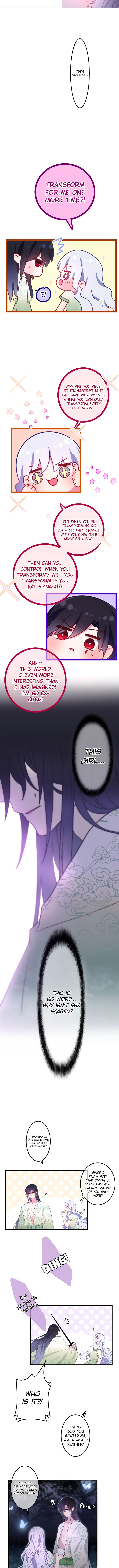 Page 6 of Chapter 4