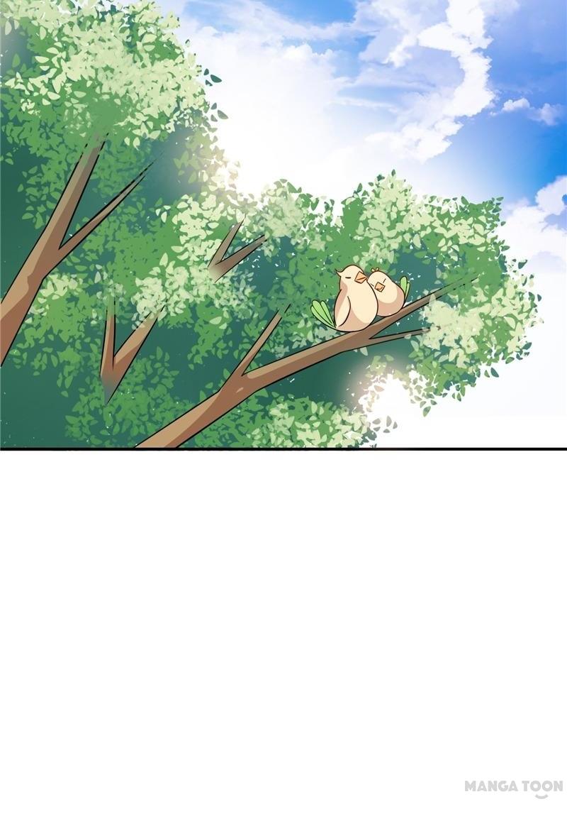 Page 4 of Chapter 20