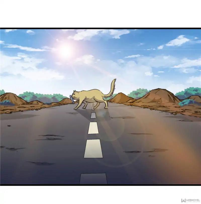 Page 1 of Chapter 91